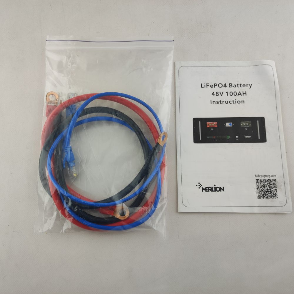 Батарея LiFePo4 Merlion LFP48-100US Фото 10