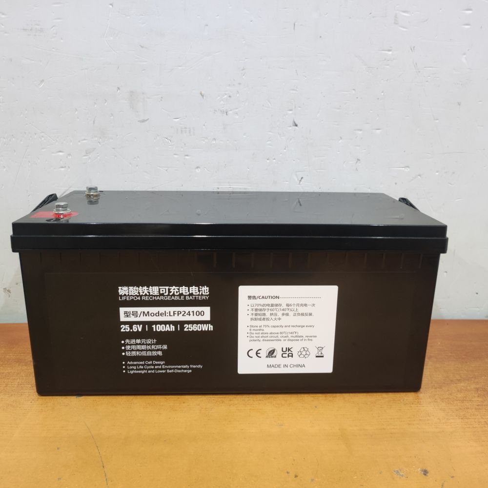 Батарея LiFePo4 PowerPlant 24V 100Ah, LFP24100 Фото